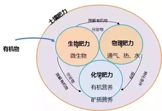 这才是有机肥最“厉害”的地方，90%的人都不知道！