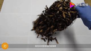 二手烟的危害对孩子有多大,吸二手烟对孩子危害究竟有多大