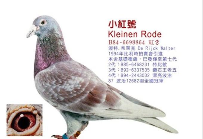 耳熟能详的名字？瓦特.德瑞克，中长距离高手（上）