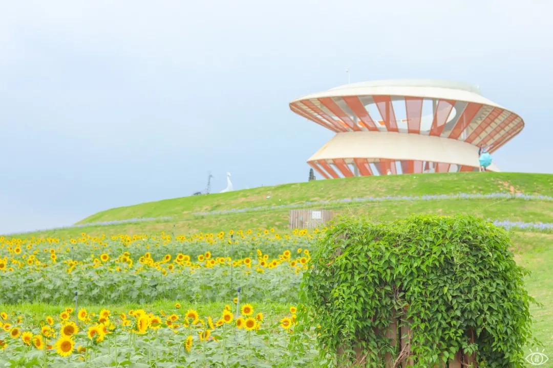 6号线都有什么景点,六号线能去的免费景点