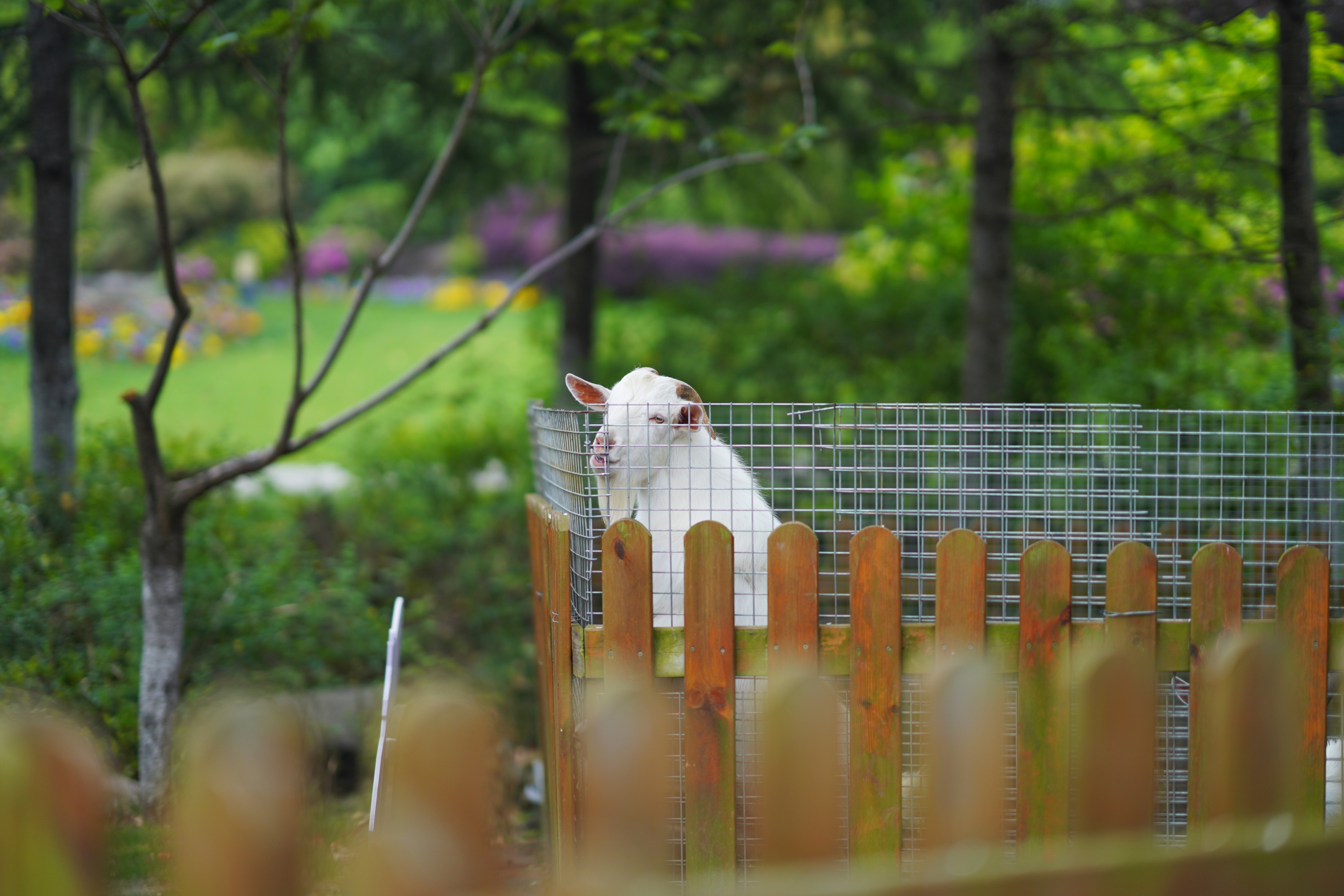 苏州特色民宿推荐,苏州最有特色民宿推荐