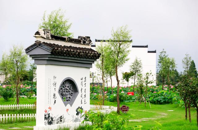 有人问我，5D4值得购买吗，你怎么回答？