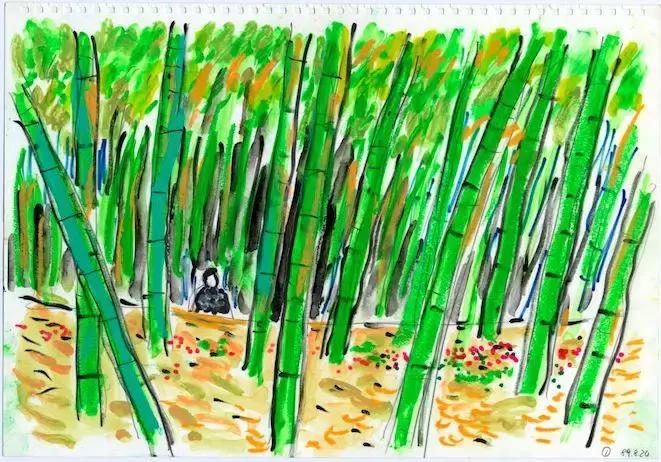 世人说我的爸爸是神，但他就是个普通人