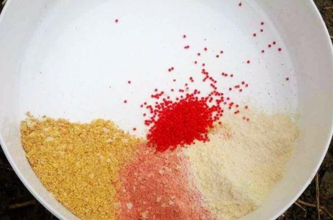 酒米打窝没有鱼怎么回事,酒米窝料抛不远怎么办