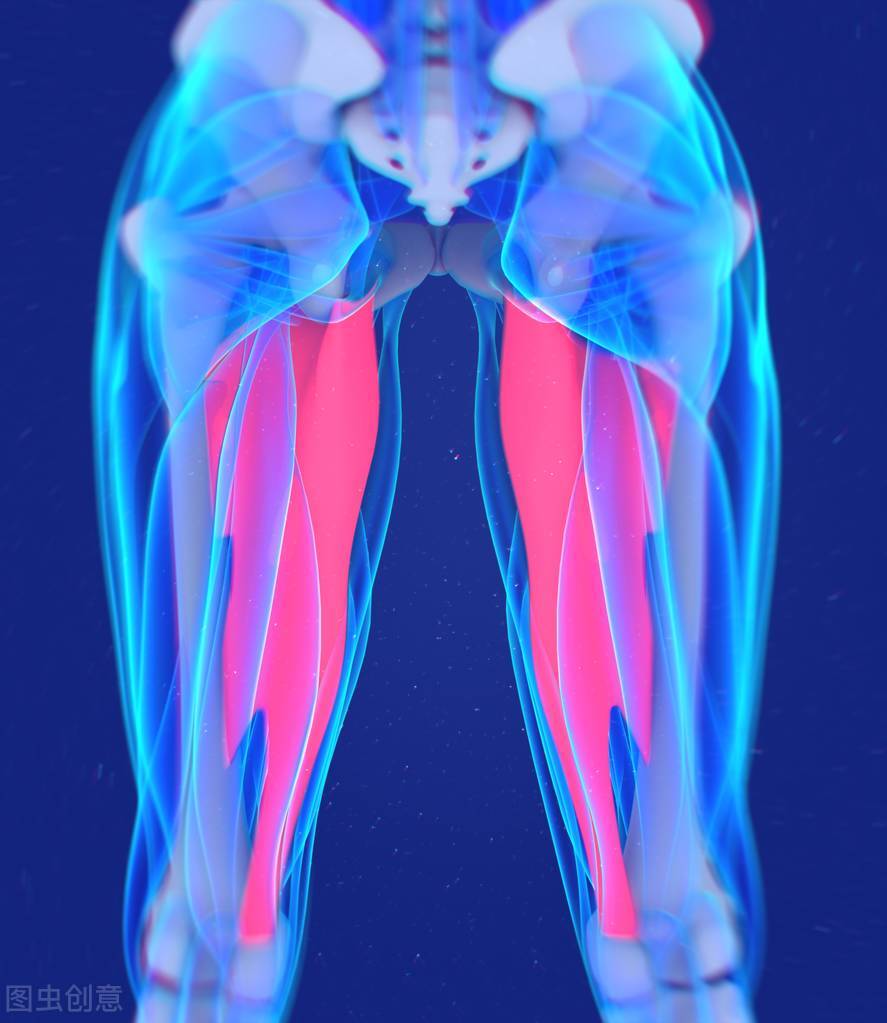大腿内侧如何强化,2个动作增强腿部力量