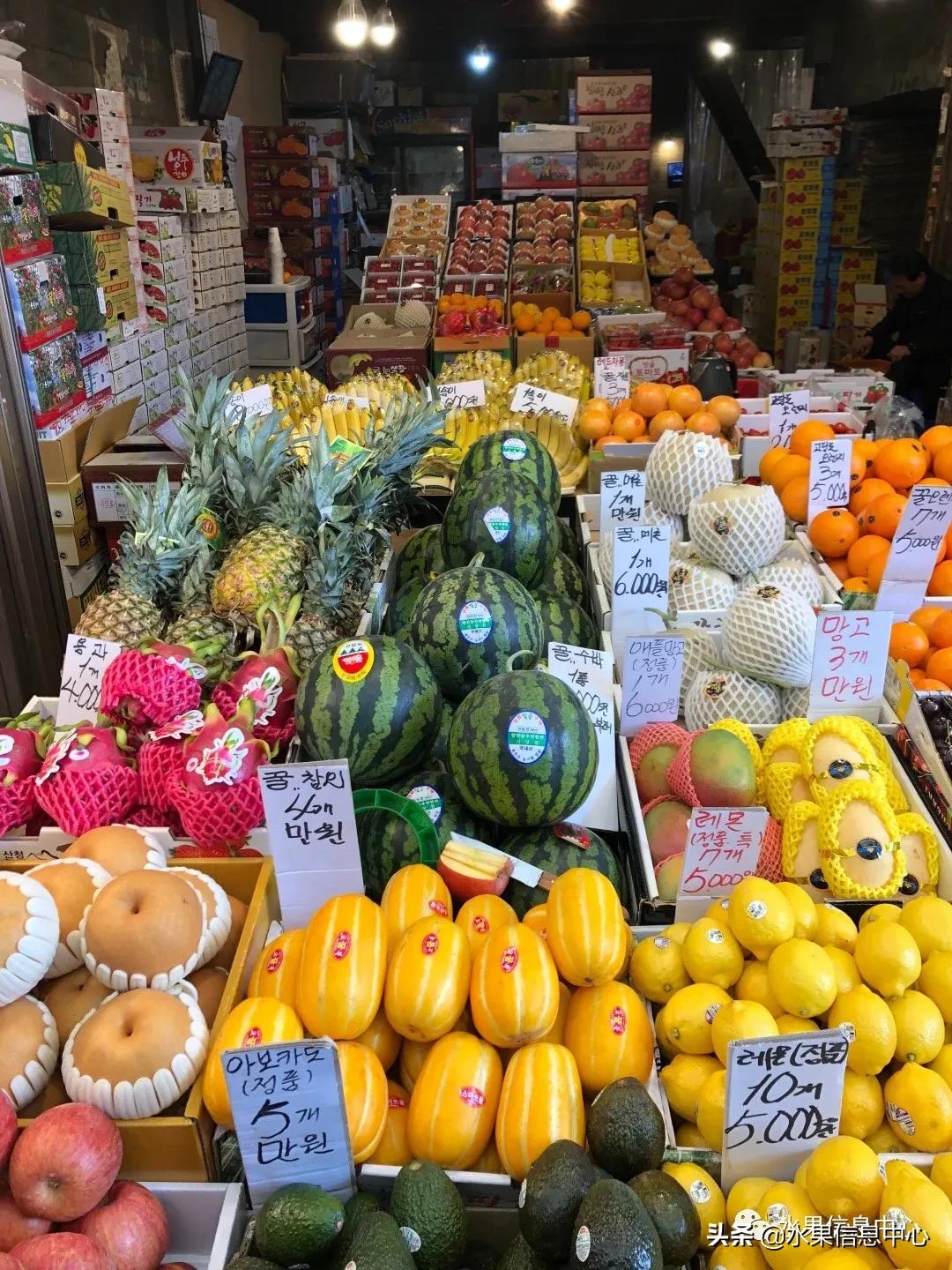 韩国水果批发市场进货渠道,韩国首尔最大的水果批发市场