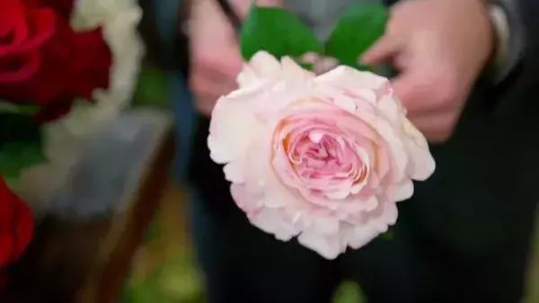 bbc中国探秘纪录片,bbc探秘印尼爪哇古洞