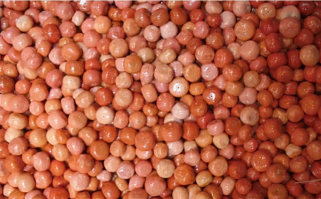 珊瑚的保养方法,珊瑚如何清洗保养