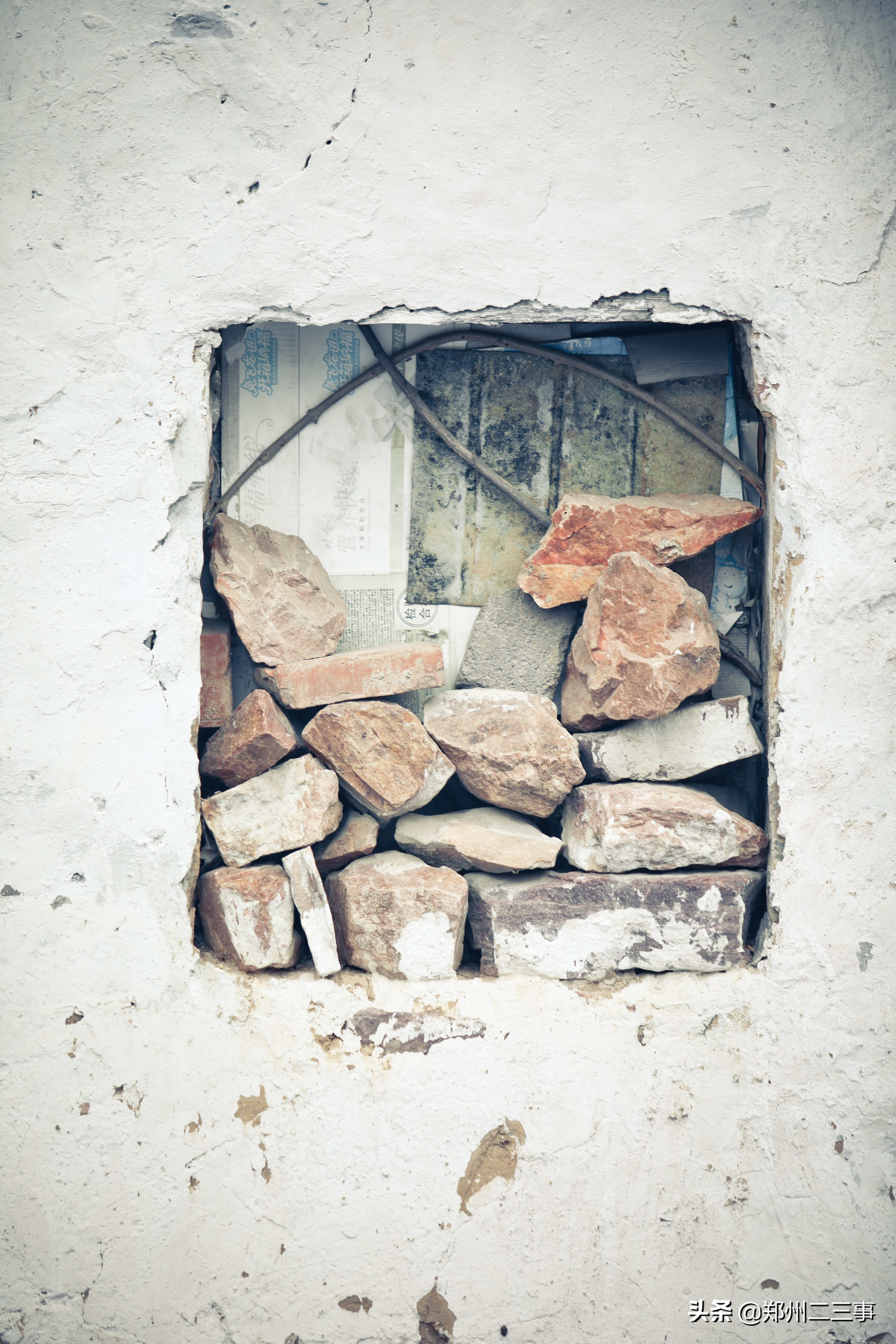 郑州惠济区免费遛娃好去处植物园,郑州遛娃踏青好去处