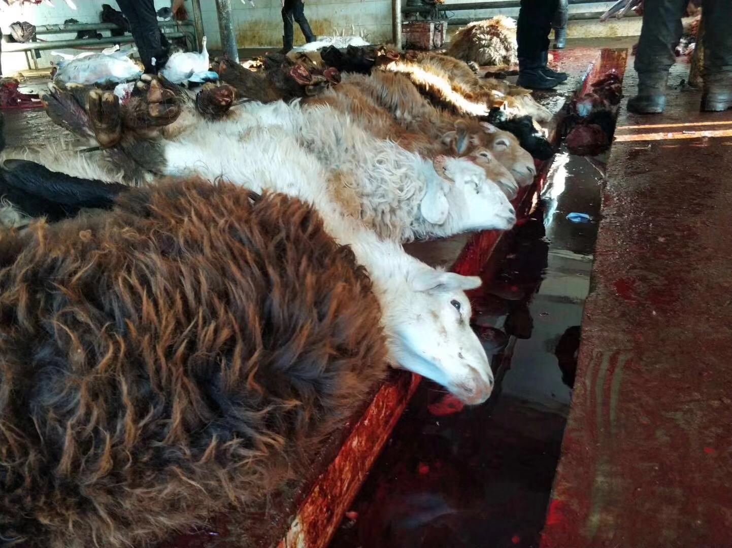 骑迹59日环岛,骑迹127公路