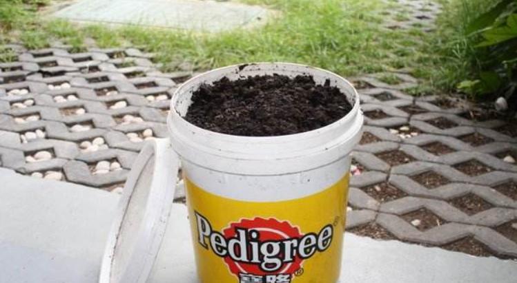 养花土壤怎么排盐碱化快,养花怎么避免土壤碱化板结