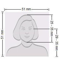 美国语言学校可以申请留学签证吗,加拿大学生去美国留学持什么签证