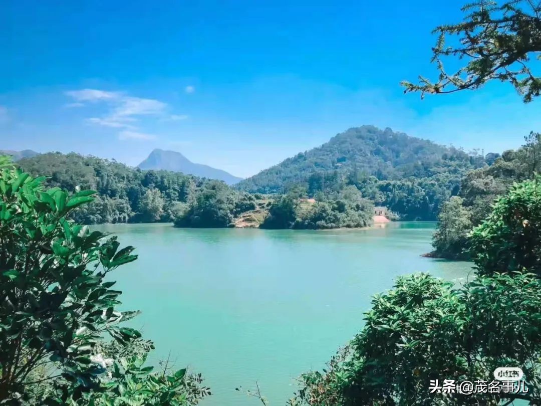 茂名哪个地方热,茂名很漂亮的风景