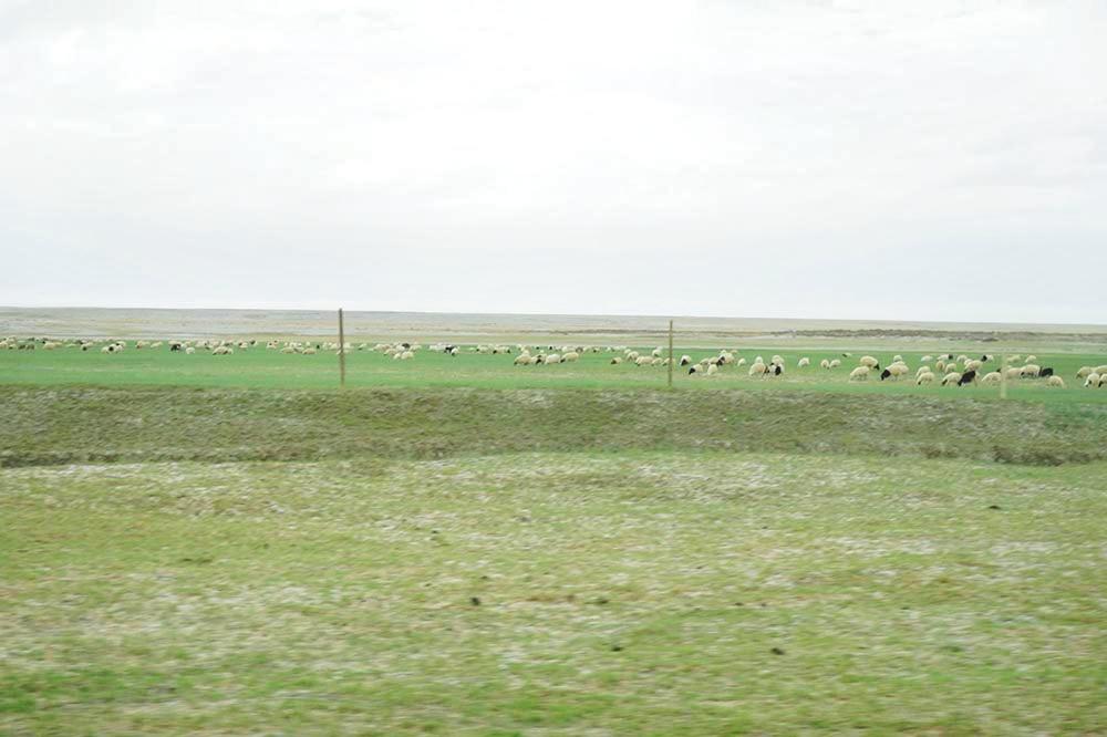 全新标致4008环青海长测Day5：感受恶魔之眼，茫崖翡翠湖爆赞！