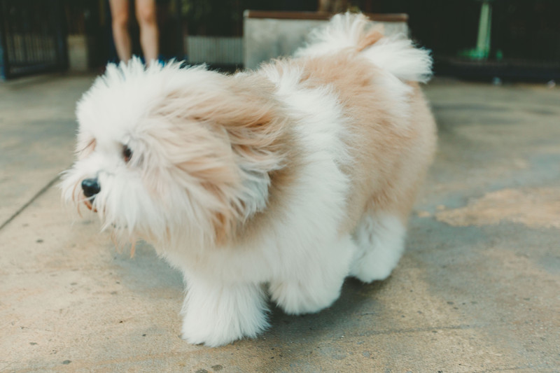 多次曼谷,整理了这份美食攻略,曼谷怎么吃?快戳进来