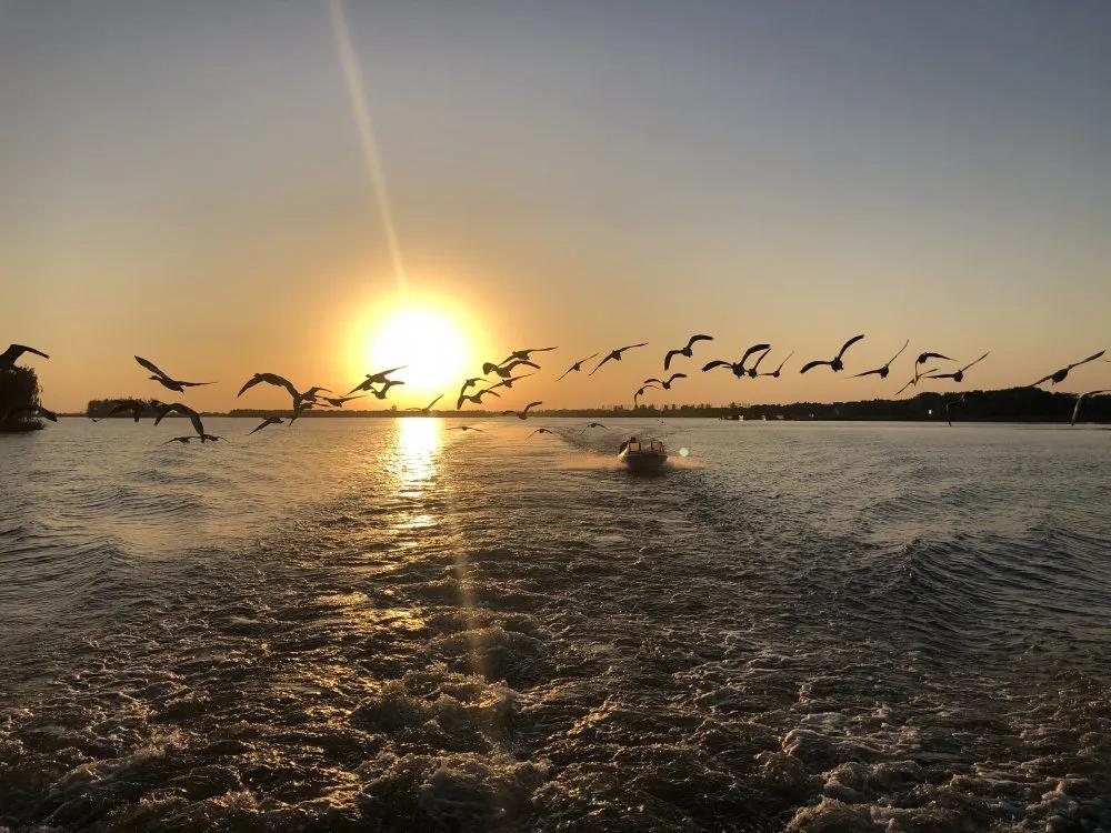 大纵湖大闸蟹价格表,大纵湖大闸蟹今日价格