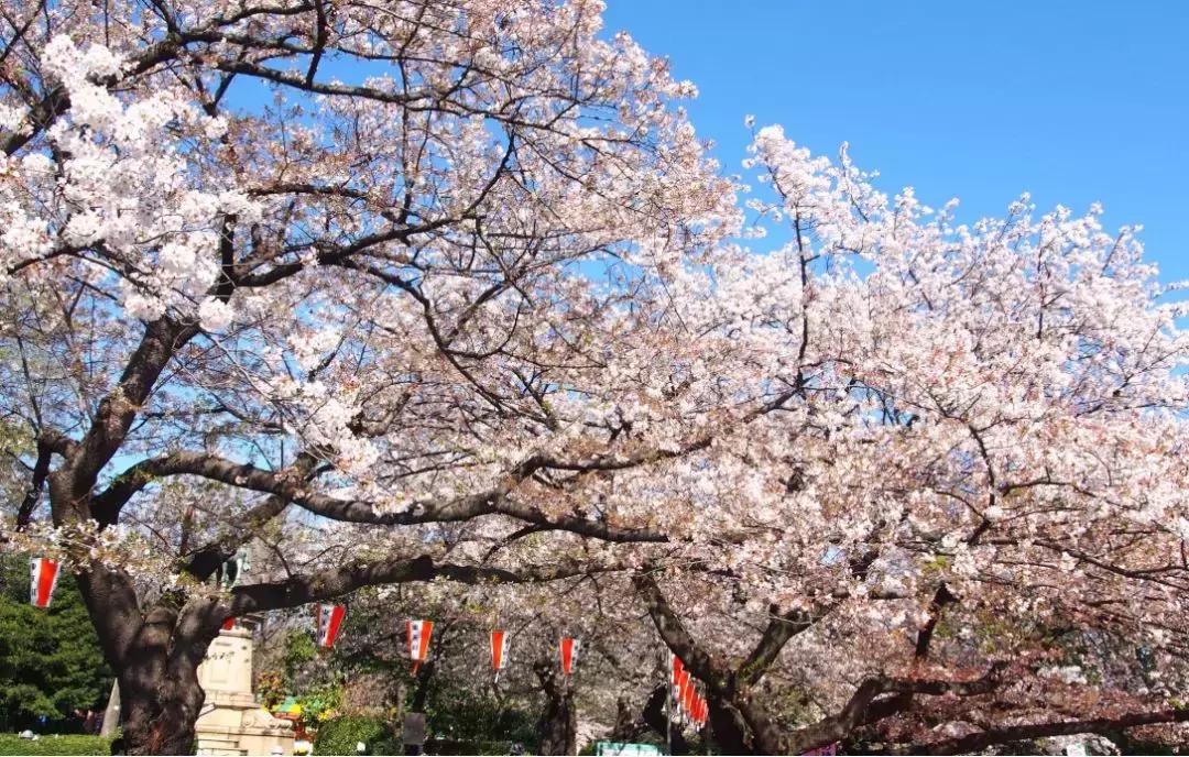 西安有直飞加拿大航线,西安直飞免签海岛