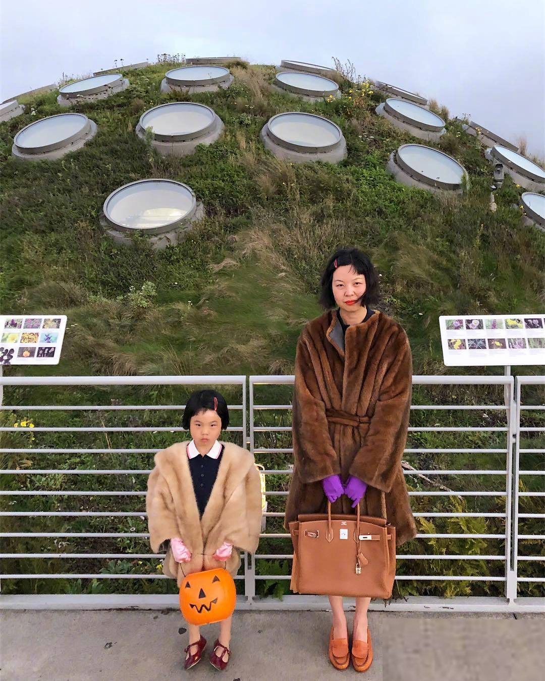 那些被原生家庭影响的女孩,受过现代文明熏陶的女性