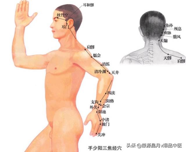 天下无疾,十二经脉流注图总结规律