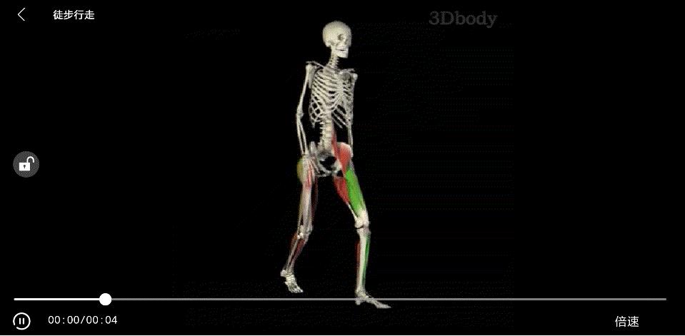 练这几个动作让你的大腿又细又直,大腿练细了小腿越练越粗