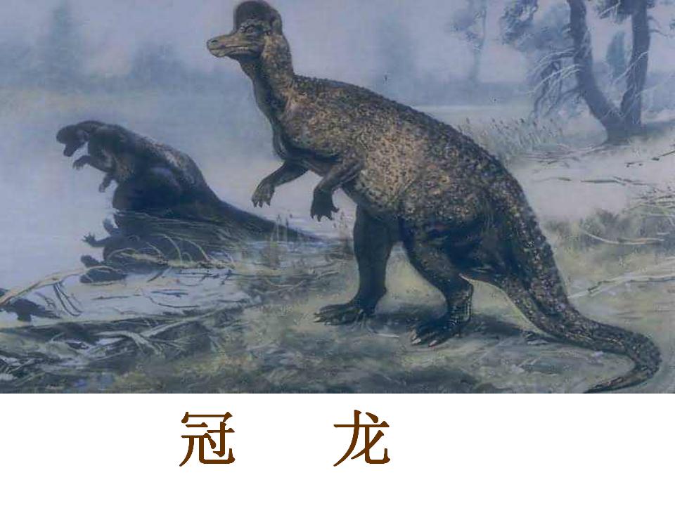 一年级下册语文教材分析ppt,一年级下册语文彩虹ppt课件