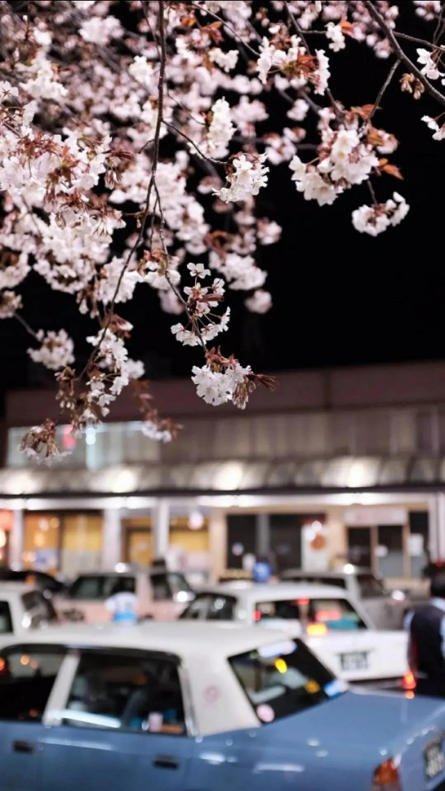 关心孤寡老人该做什么,老年人克服孤独感的措施