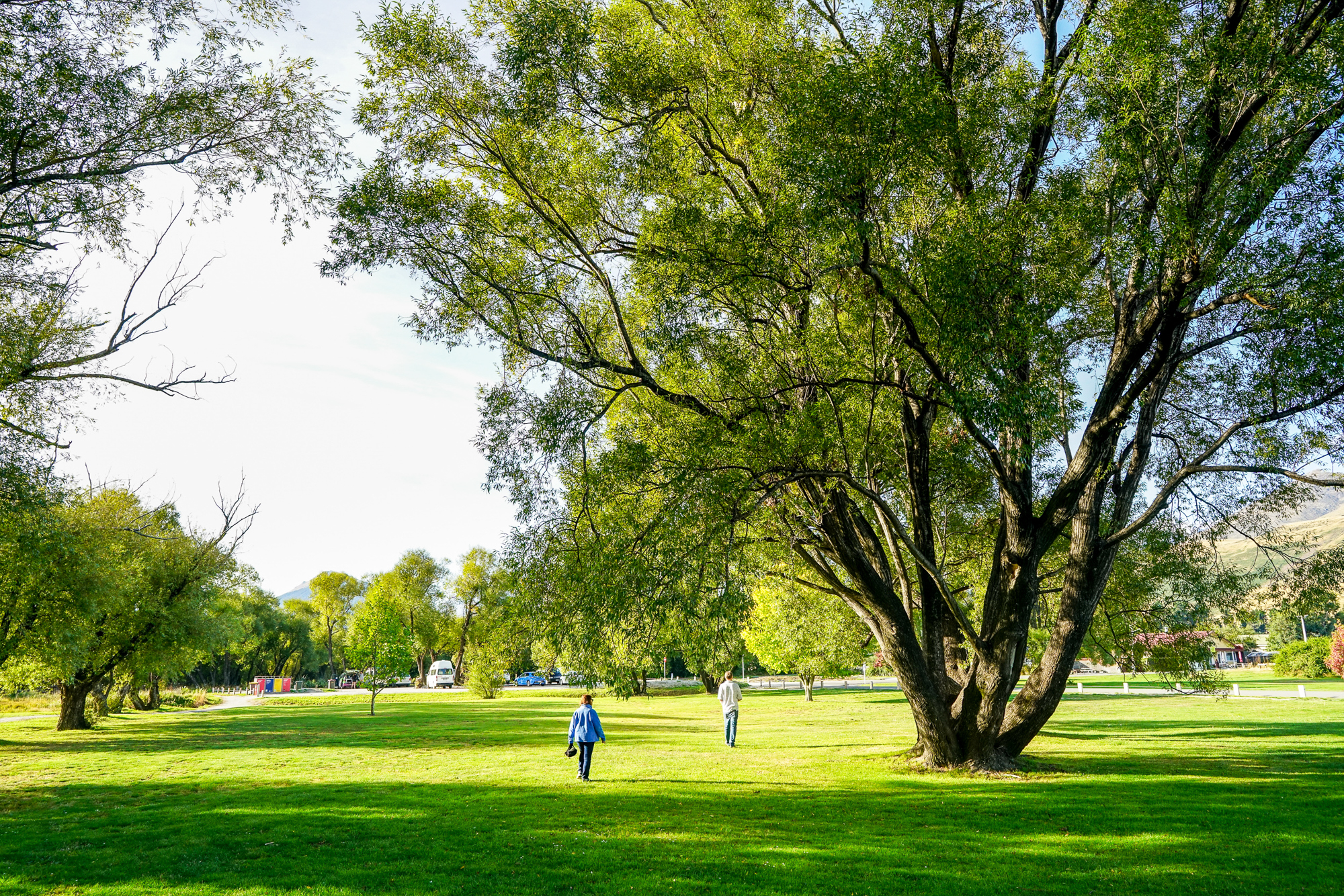 格林诺奇魔戒电影图片,魔戒格林诺奇