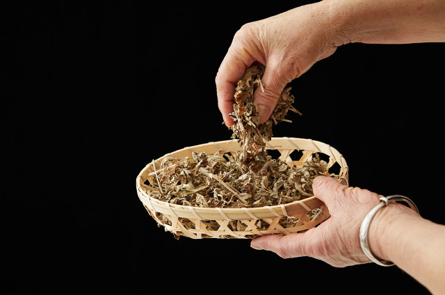 什么时候割艾草最佳 (什么时候割艾草最好呢)