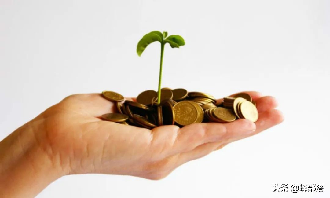 农村冷门投资好项目,当前农村投资最赚钱的行业有哪些