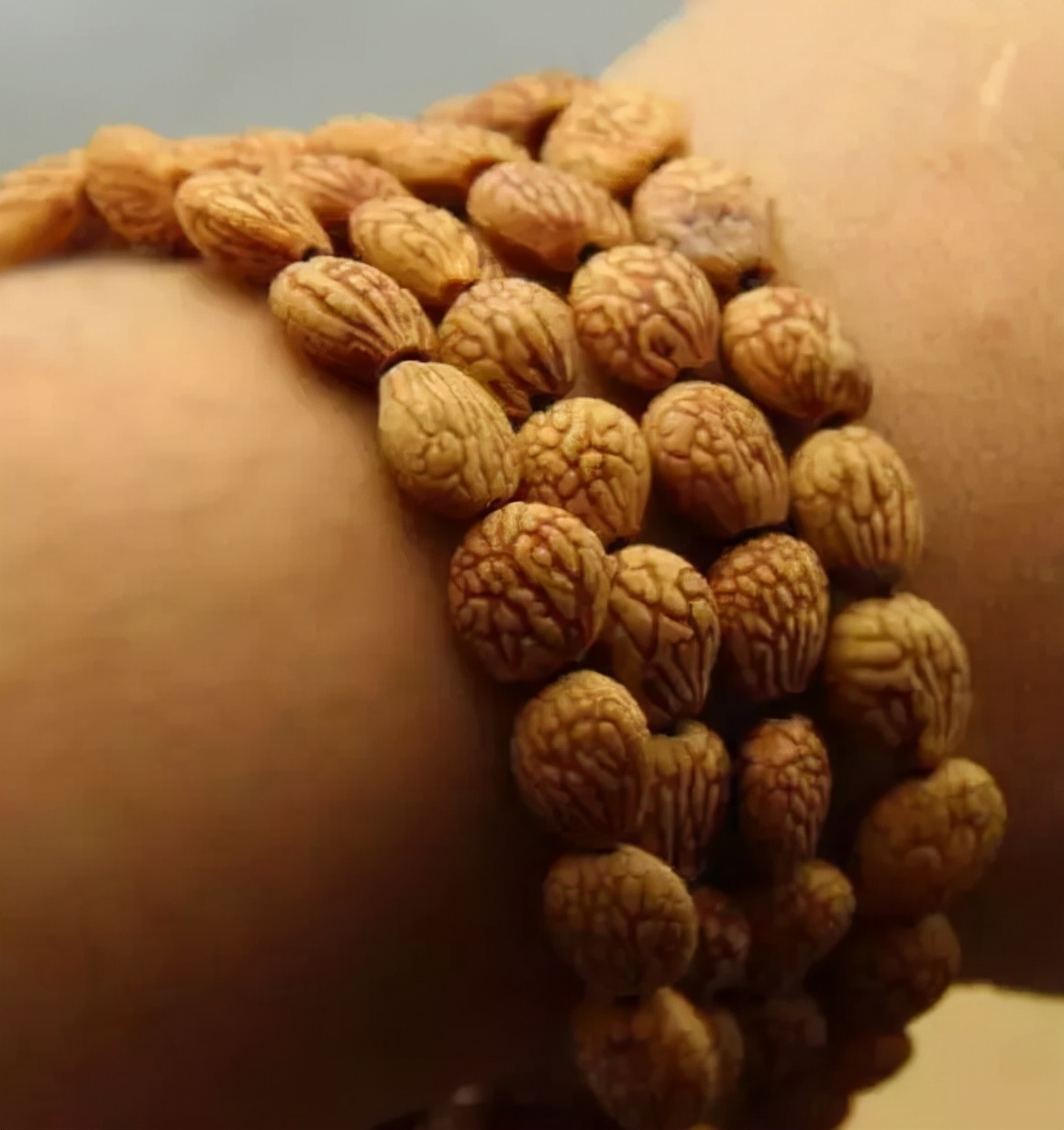 冷门菩提图片大全,比较少见的菩提