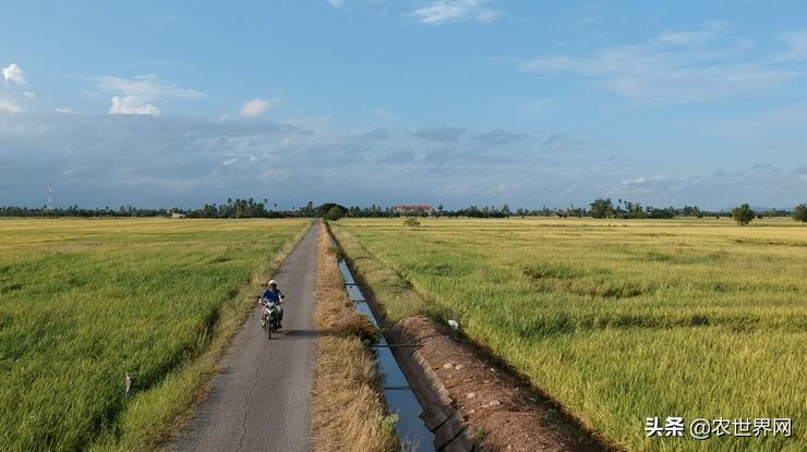 了不起的新农人|给金丝燕打造一个五星级的家,专访老燕行廖文烽