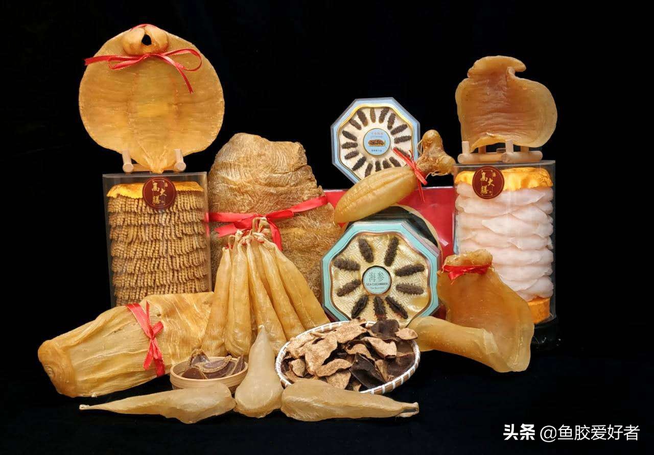 新手入门鱼胶,新手入手鱼胶哪种好