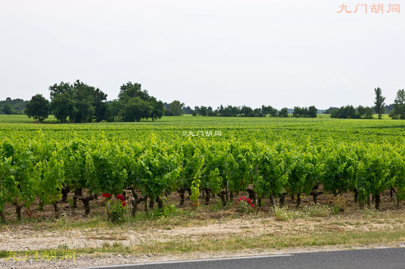 法国旅游葡萄酒庄,法国波尔多酒庄旅游攻略