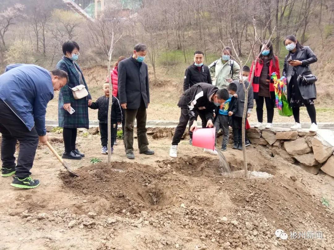 彬州市植树造林,彬州侍郎湖森林公园