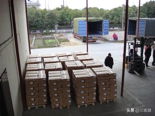 农村小投资创业项目推荐,创业小项目农村小本创业门路推荐