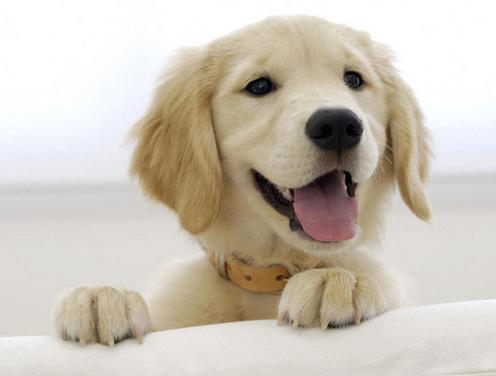 有什么表现证明已经怀孕了,出现这些症状说明你怀孕了