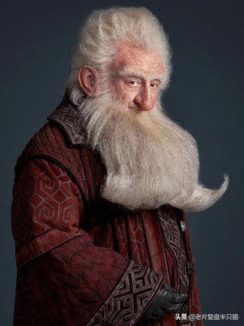 人皇阿拉贡召集亡灵大军全部视频,指环王阿拉贡是什么人