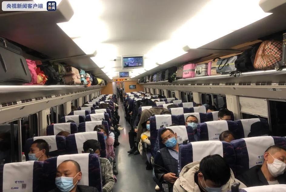 法治在线真实案例22岁女孩被杀,法治热点早知道老公杀妻子