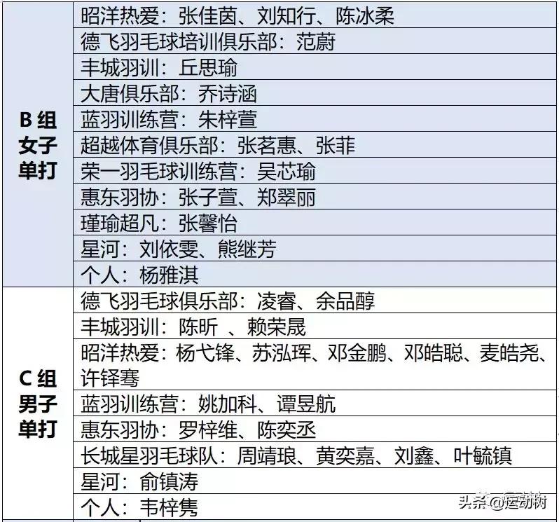 广东惠阳羽毛球单项赛,羽毛球惠阳区比赛