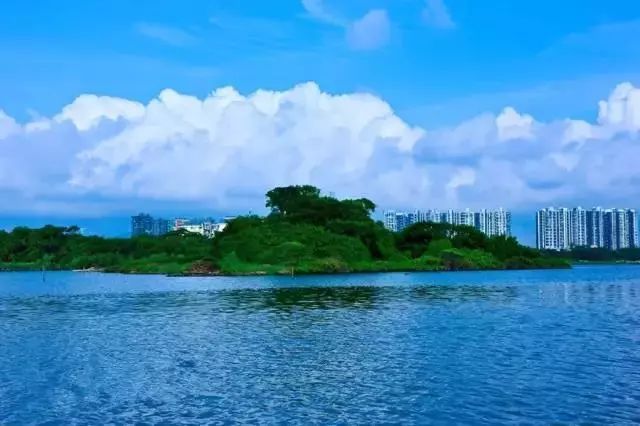 深圳各大公园游览攻略,深圳园博园推荐景点