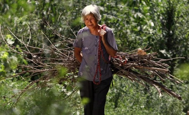 增广贤文生死有命富贵在天,增广贤文参透人生百态