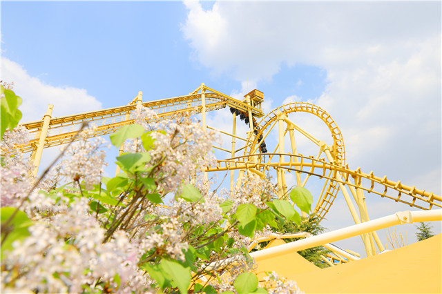 青岛市文旅大项目,青岛文旅创意项目