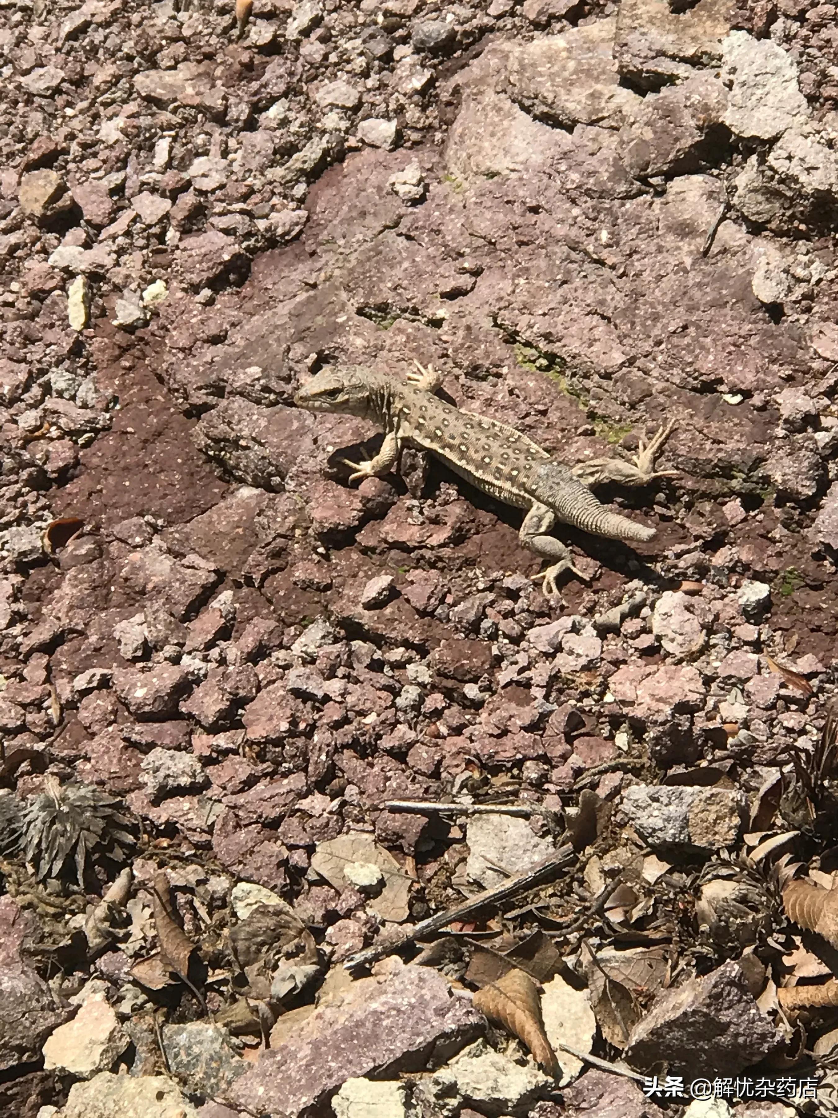 秦皇岛板厂峪长城公园,秦皇岛板厂峪长城