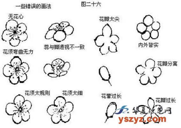 梅花画法简笔画,梅花画法的视频
