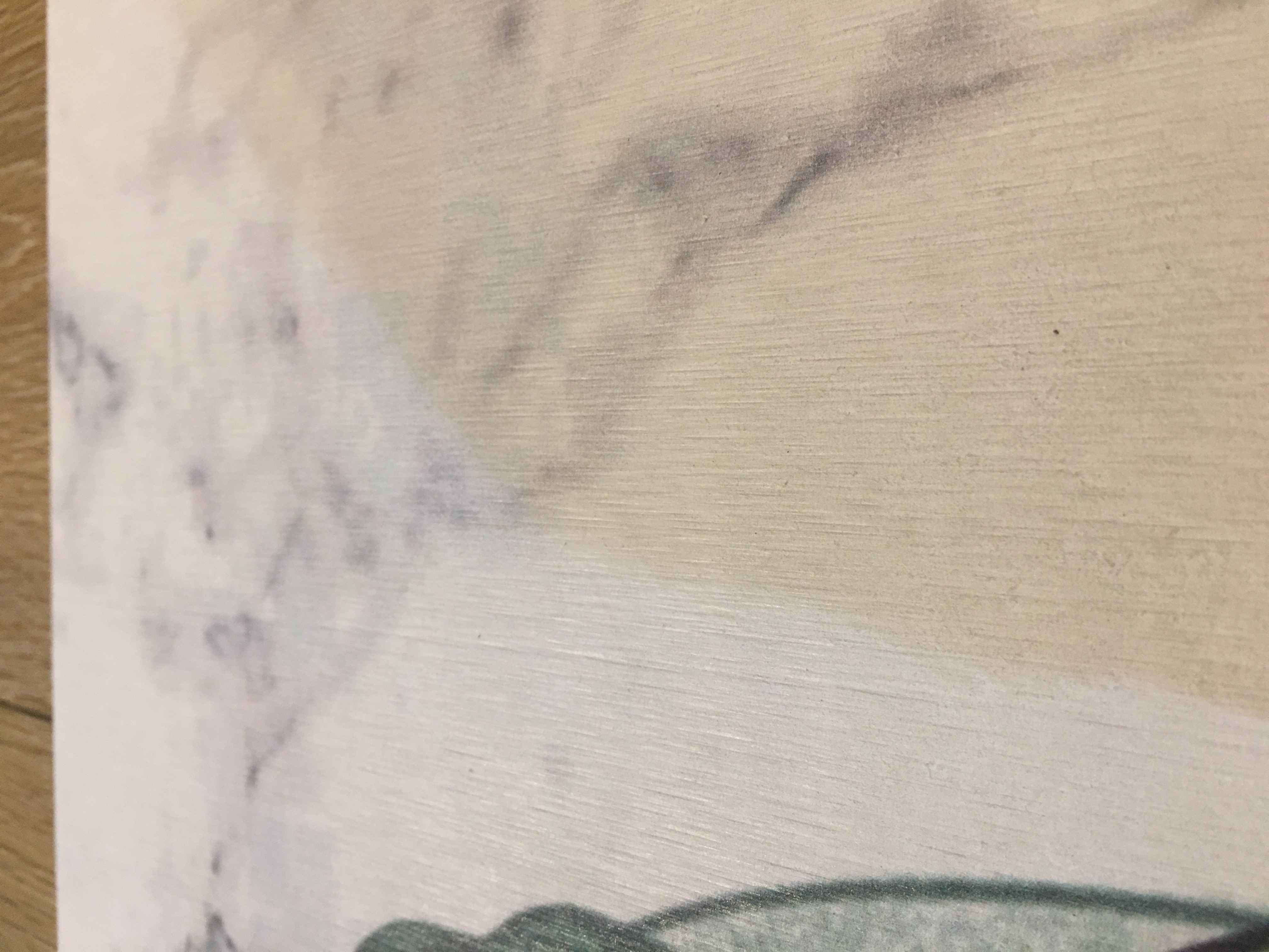 洗手间地垫吸水神器,地垫洗手间硅藻泥