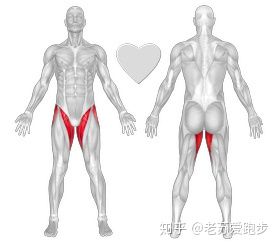 康复训练膝盖弯曲内侧疼,外侧膝盖疼痛康复训练
