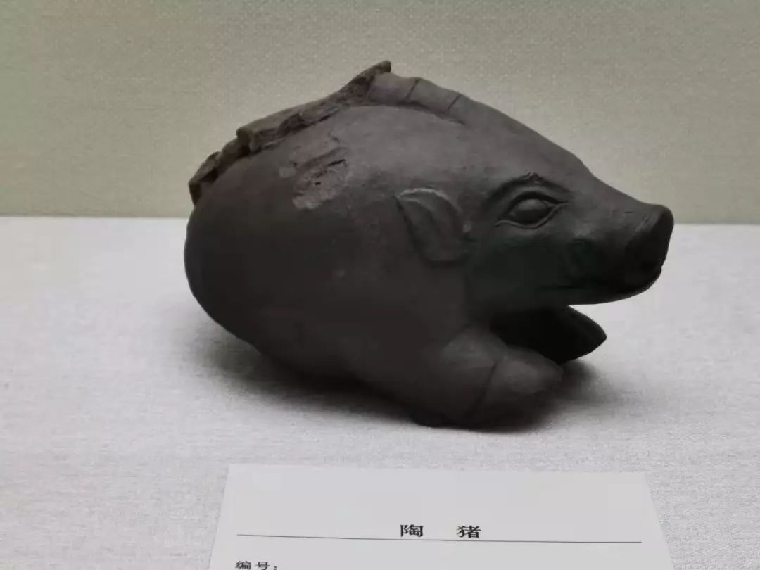 鼠你有福超萌小老鼠版本,鼠你有福邮政