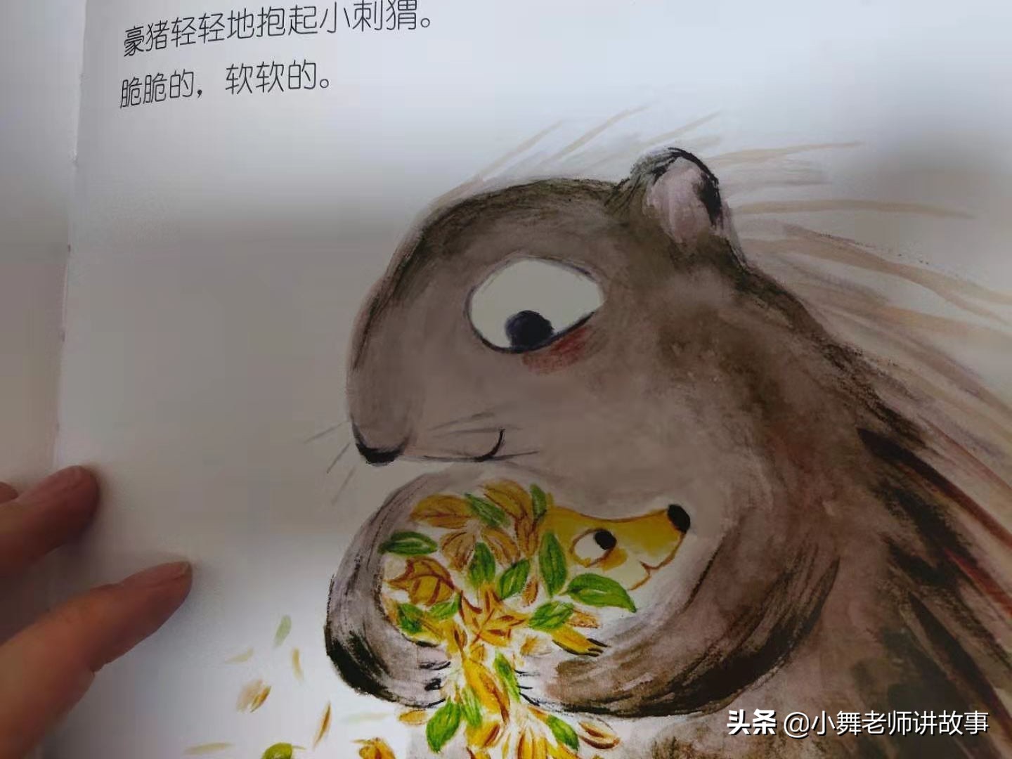 拥抱日绘本,适合和孩子一起拥抱的绘本