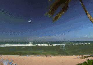 飞机坠毁为什么会直线坠落,飞机坠毁真的无法生还吗