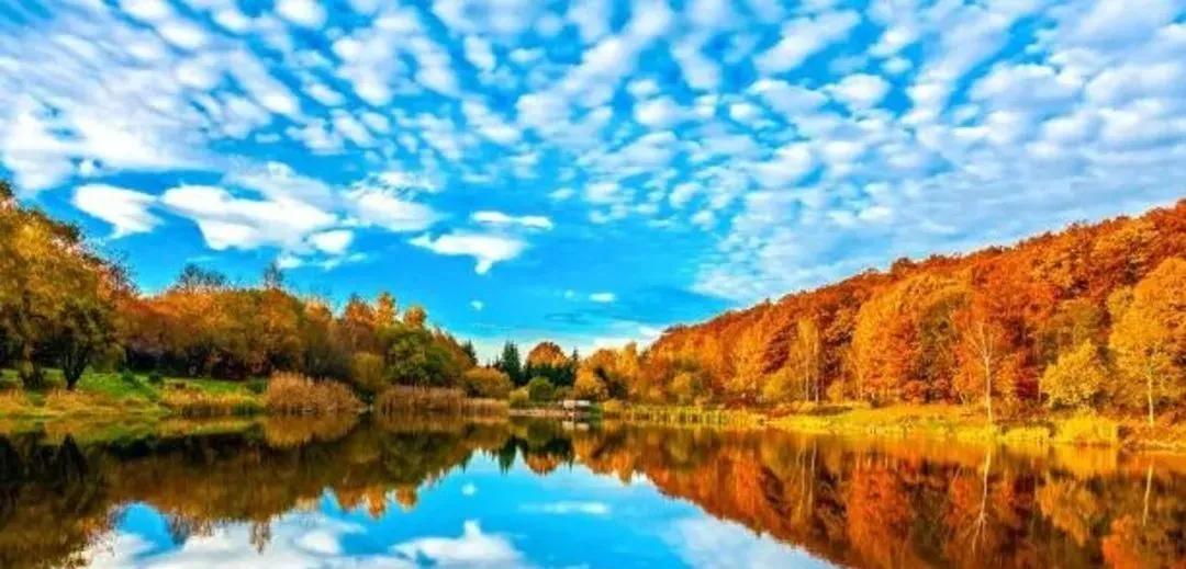 美国各个州的销售税,美国没有所得税的州